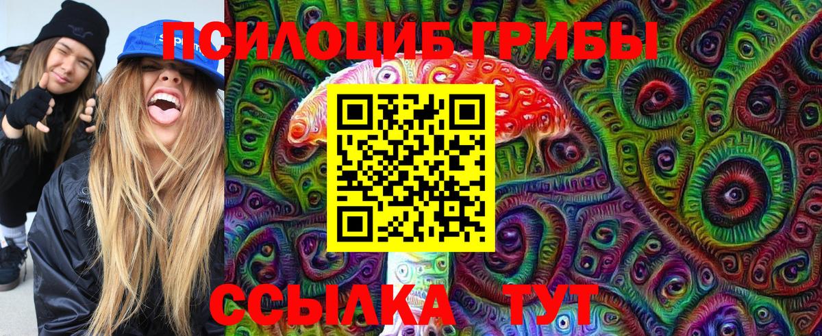 Галлюциногенные грибы Psilocybe Воскресенск