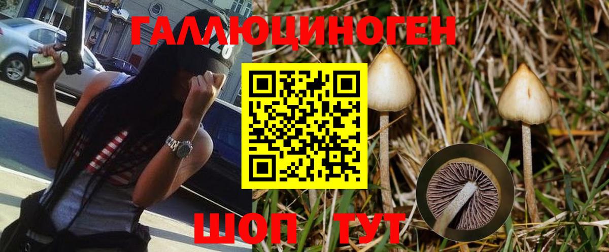 Воскресенск  купить наркотик  Вход с VPN  Галлюциногенные грибы Magic Shrooms  Галлюциногенные грибы мухоморы 
